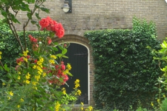 De roos van opa voor de kerk