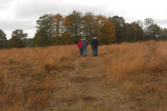 een herfstwandeling op het Terhorsterzand