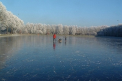 winter op de schaatsbaan...schaatsen mee