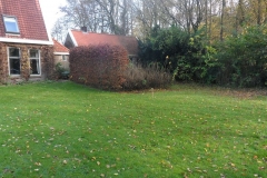 huisje verscholen achter de kerk in het bos